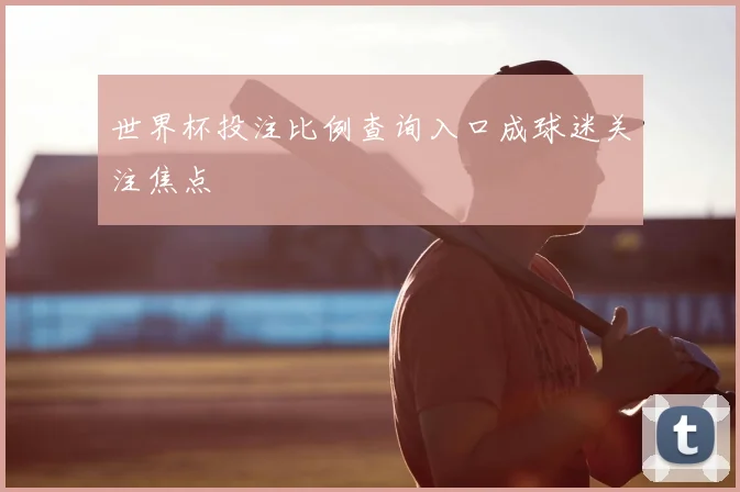 世界杯投注比例查询入口成球迷关注焦点