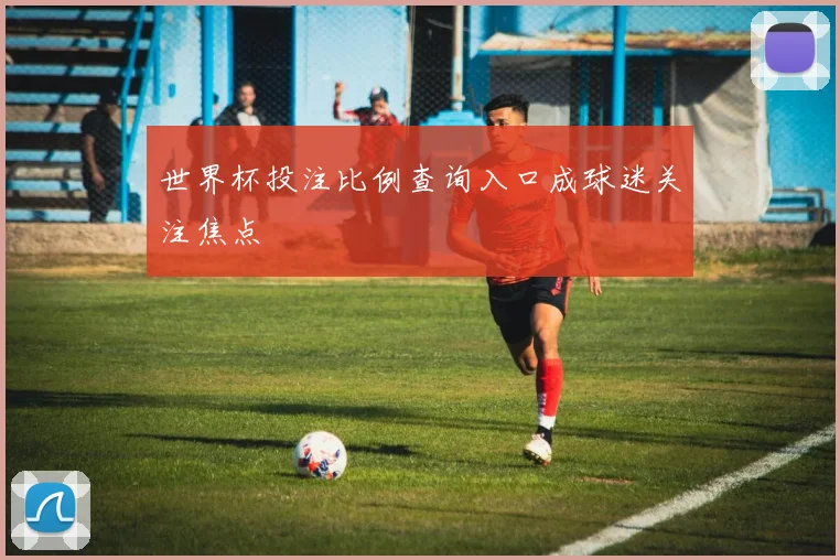 世界杯投注比例查询入口成球迷关注焦点
