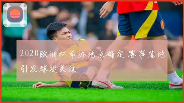 2020欧洲杯举办地点确定 赛事落地引发球迷关注