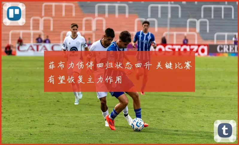 菲布力伤停回归状态回升 关键比赛有望恢复主力作用