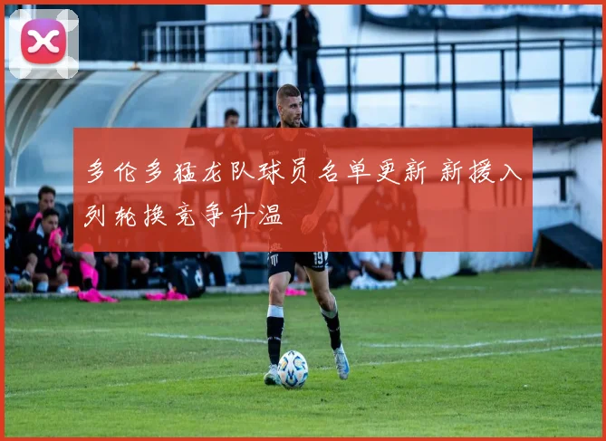 多伦多猛龙队球员名单更新 新援入列轮换竞争升温