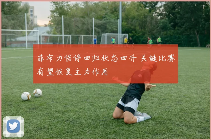 菲布力伤停回归状态回升 关键比赛有望恢复主力作用