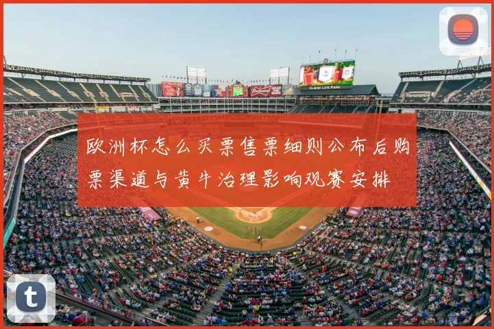 欧洲杯怎么买票售票细则公布后购票渠道与黄牛治理影响观赛安排