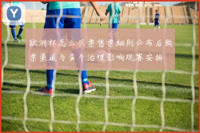 欧洲杯怎么买票售票细则公布后购票渠道与黄牛治理影响观赛安排